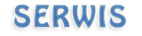 serwis